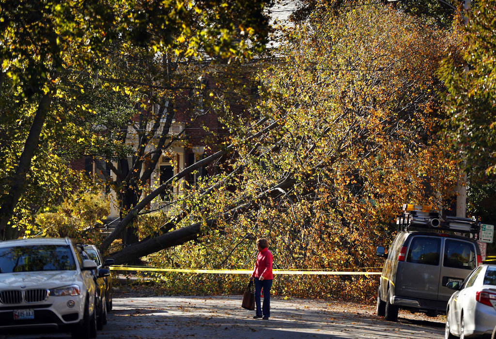 A woman walks down a street blocked by a storm-toppled tree, Maine, Tuesday, Oct. 31, 2017, in Portland, Maine. Utility crews scrambled to restore power throughout New England on Tuesday, one day after a severe storm packing hurricane-force wind gusts and torrential rain. (AP Photo/Robert F.