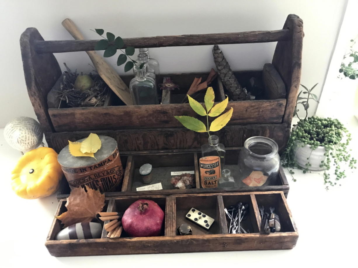 Fall S A Great Season To Create A Cabinet Of Curiosities
