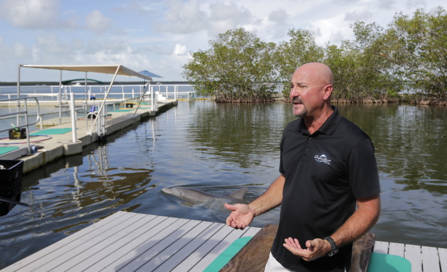This photo taken Tuesday, Oct. 24, 2017, Art Cooper talks to a reporter at the Dolphins Plus Bayside, in Key Largo, Fla. Some staff now live with friends or in temporary trailers parked outside their damaged homes, but the dolphins swim up to the water’s edge to check out new people toting cameras, and an adjacent hotel property is open for weddings and other events that had to be canceled elsewhere in the Keys because of Irma, said Cooper, curator at Dolphins Plus Bayside.