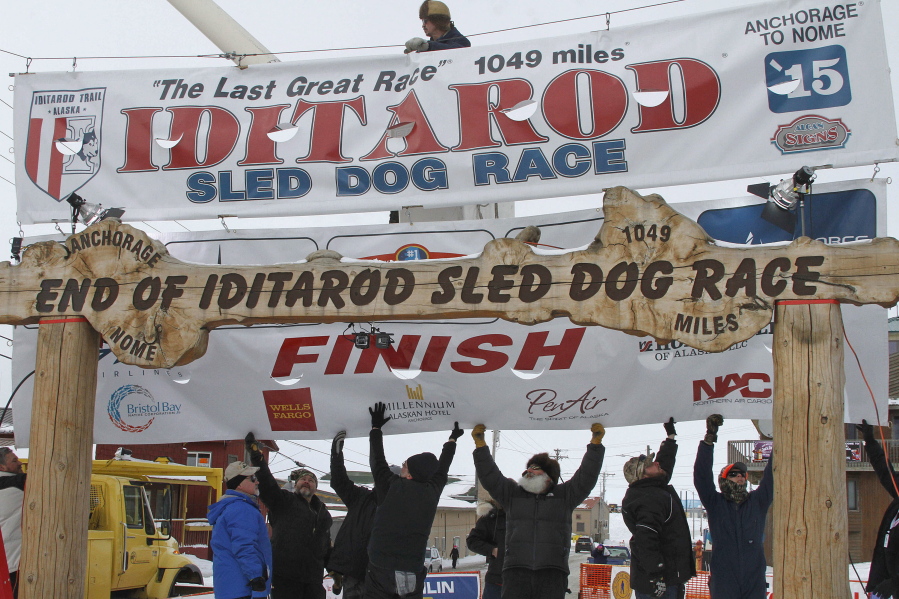 Volunteers help raise the Iditarod finishers banner at the burled arch finish line in Nome, Alaska, on March 16, 2015.