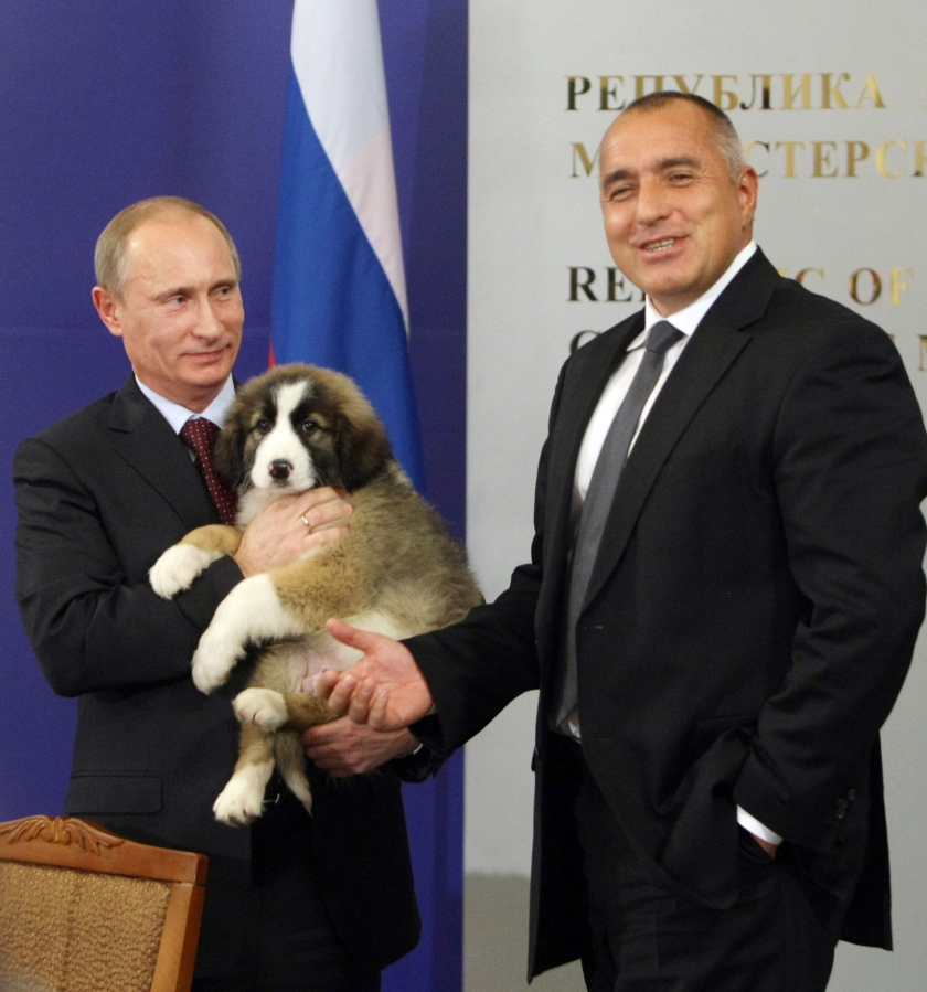 Russia_Puppy-Presidential_Presents_98189.jpg-8630c.jpg