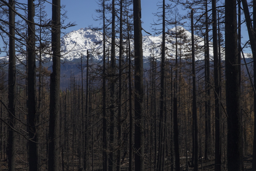 Trees charred by a fire stand in the foreground in from of North Sister and Middle Sister in the background as seen from the drive into the Boy Scouts of America Oregon Trail Council’s Camp Melakwa in the Willamette National Forest near McKenzie Bridge, Ore., on Wednesday.