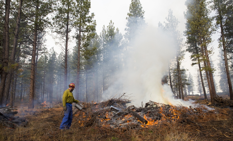 An unidentified worker burning a pile of collected undergrowth in the Deschutes National Forest in central Oregon. The thinning of forests in central Oregon has saved homes amid one of the most devastating wildfire seasons in the American West.