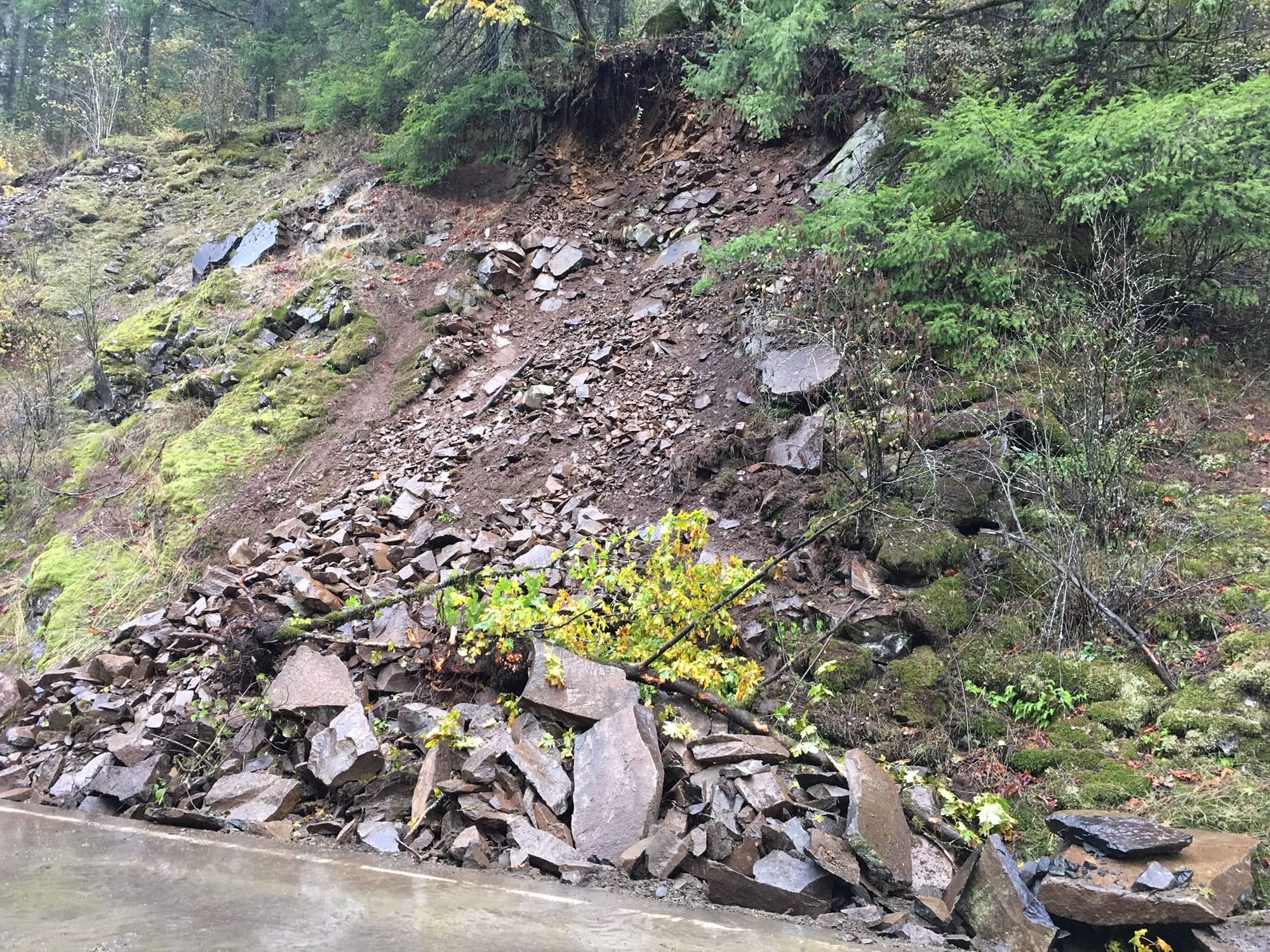 A landslide has closed Washougal River Road in both directions at Milepost 4.