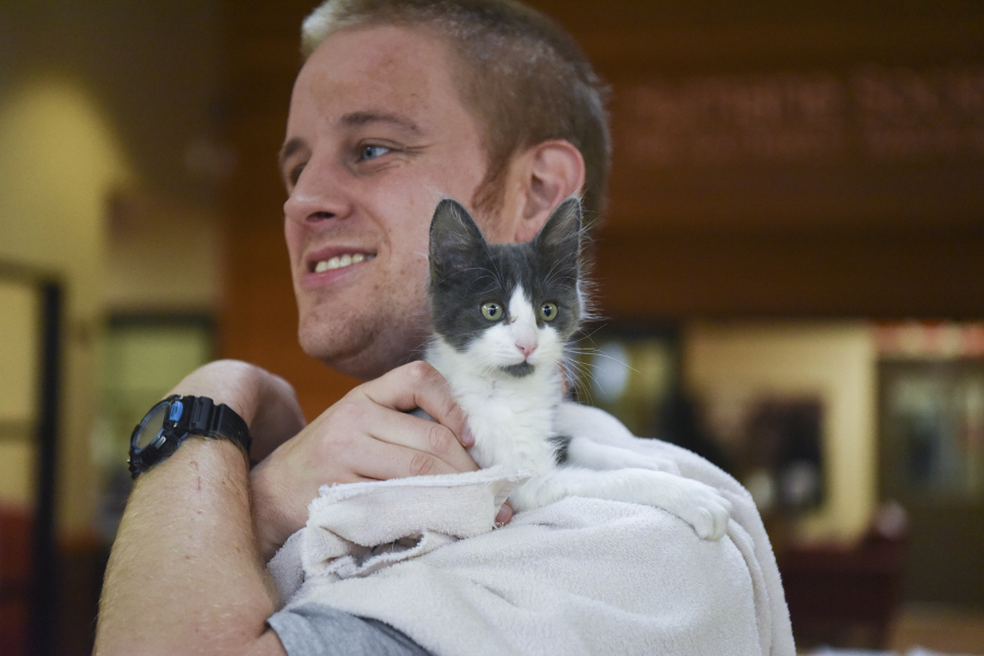 After getting a health check and spending some time with a foster family and getting vaccinations, Chai, a male kitten, is ready for adoption. Sean Dinsmore, a volunteer at the Humane Society for Southwest Washington, gives him a break from his kennel.