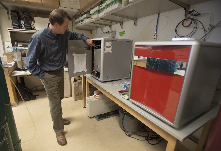 Marc Kramer, assistant professor of environmental chemistry at Washington State University Vancouver, looks over an isotope-ratio mass spectrometer in a lab on campus. Kramer has discovered that vast amounts of carbon can be stored by soil minerals more that a foot below the surface.