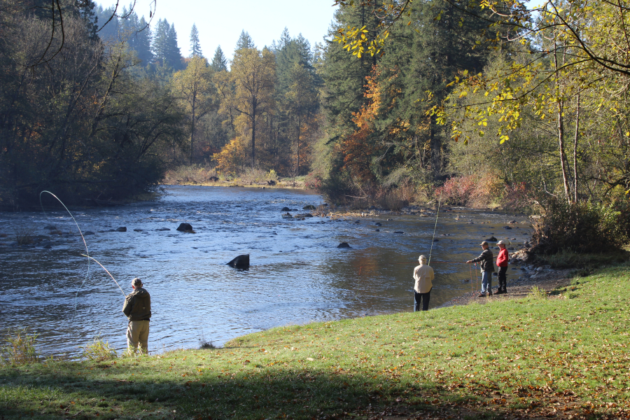 Attendees of the Clark-Skamania Flyfishers fall casting clinic try their hand at casting over the East Fork Lewis River at Lewisville Park near Battle Ground. The clinic featured tips on three different kinds of fly casting, including traditional, spey rod, and tenkara fly casting.