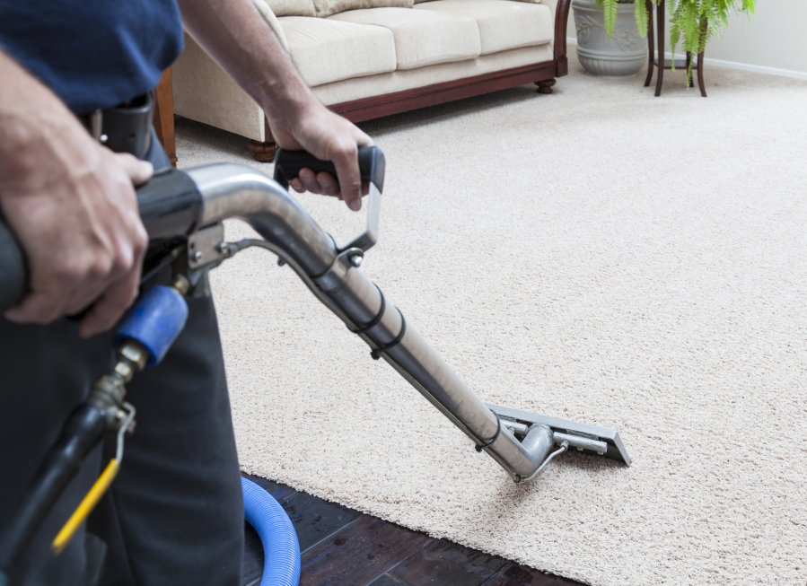 The Environmental Protection Agency recommends a professional carpet cleaning one to four times a year.