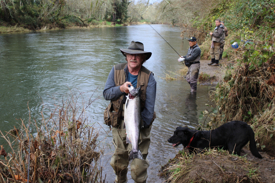 The author holds a coho as his “quality assurance officer,” right, checks it out. November is a great time in local river for late runs of coho salmon.