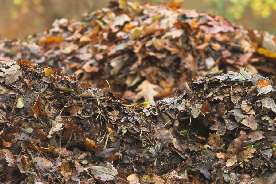 Turning leaves into compost instead of leaving them to decay can do wonders for your yard and garden.