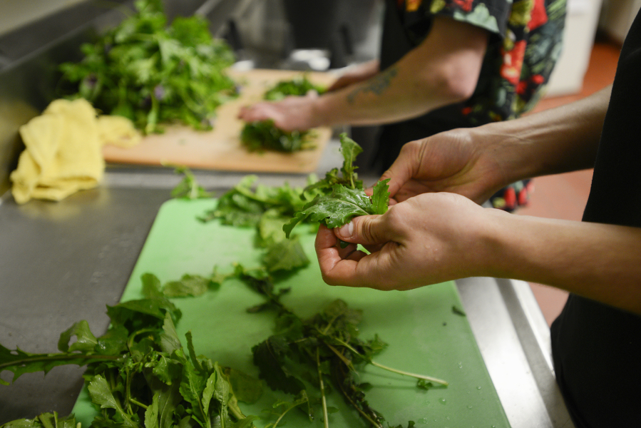 Volunteer Michael Phillips prepares arugula last year in the kitchen at WareHouse ‘23 in Vancouver, in preparation for Taste Renaissance 2016.