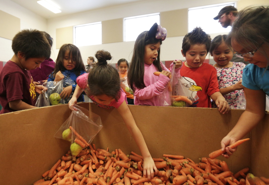 In this Friday, Nov. 17, 2017, photo, students pick carrots while gathering a bag of produce on at Warm Springs K-8 Academy in Warm Springs, Ore. The fresh produce was delivered by NeighborImpact and every student is able to bring a bag home with them. The food distribution program is in its second month at the school.