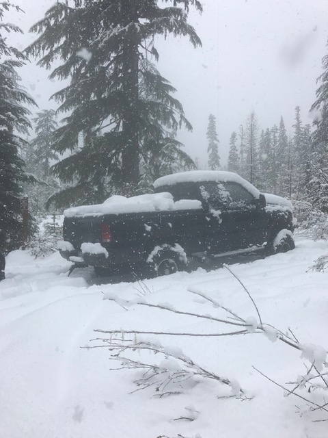 Skamania County Sheriff's Office deputies are searching for a Vancouver elk hunter who went missing in the Gifford Pinchot National Forest. Joel Presler's 2004 Ford pickup, seen here, was found Wednesday. It doesn't appear Presler has been at the truck in the past couple of days.