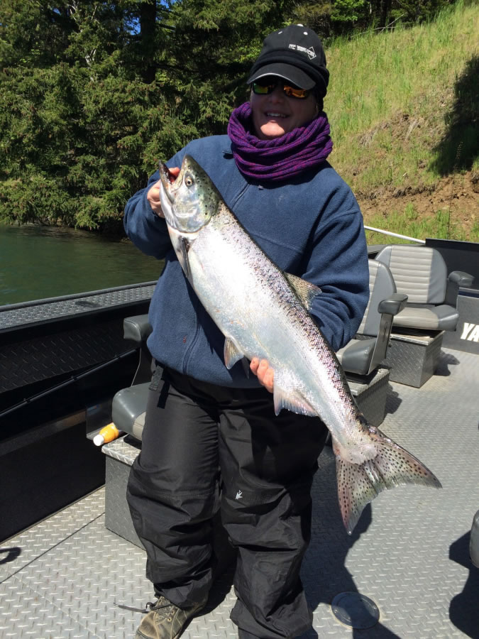 A lucky angler took this typical Drano Lake spring Chinook while fishing with Jim Stahl of NW Fishing Guides.