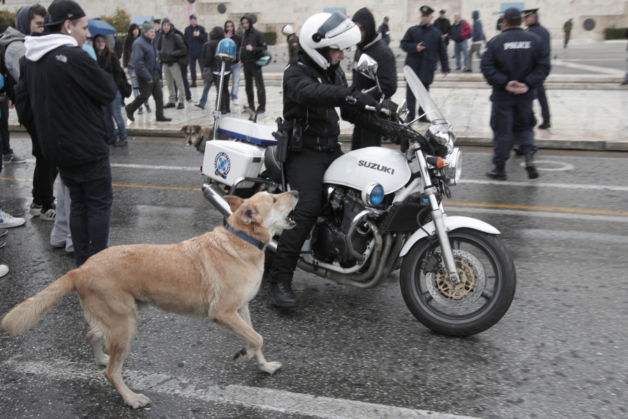 FILE - In this Feb. 20, 2012, file photo, a stray dog, called by protesters Loukanikos (Sausage), barks to a motorcyclist policeman as high school students block the avenue outside the Greek Parliament during an anti-austerity protest in Athens. A film by Australia’s Mary Zournazi, “Dogs of Democracy,” highlights the life and times Loukanikos. He became a symbol of the anti-austerity protests in Greece after showing up to stand alongside the humans on the front lines.