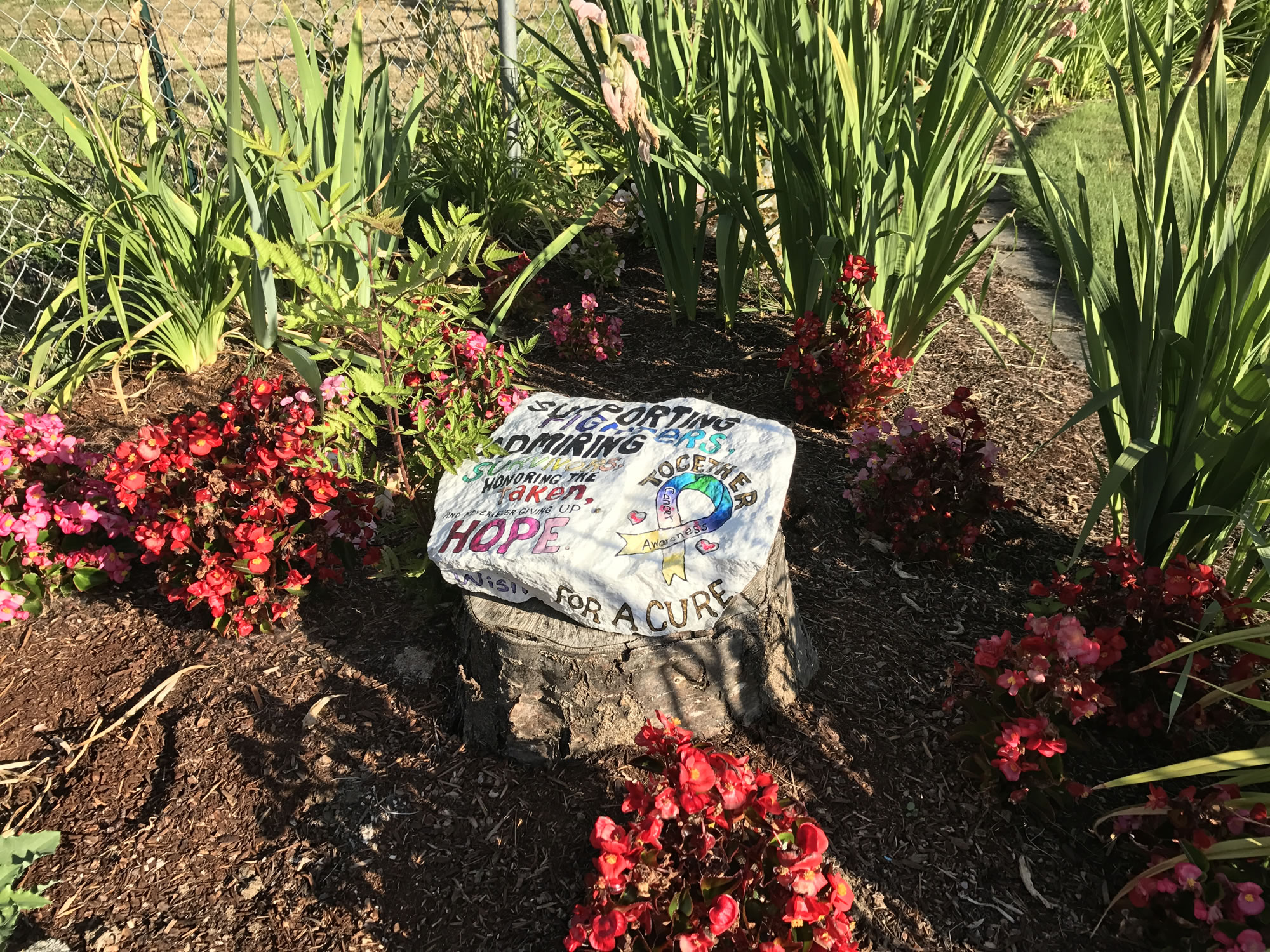 Teresa Marble placed this remembrance rock, symbolizing cancer fighters and survivors, on a stump in her yard in August. Sometime before Thanksgiving, the rock disappeared.
