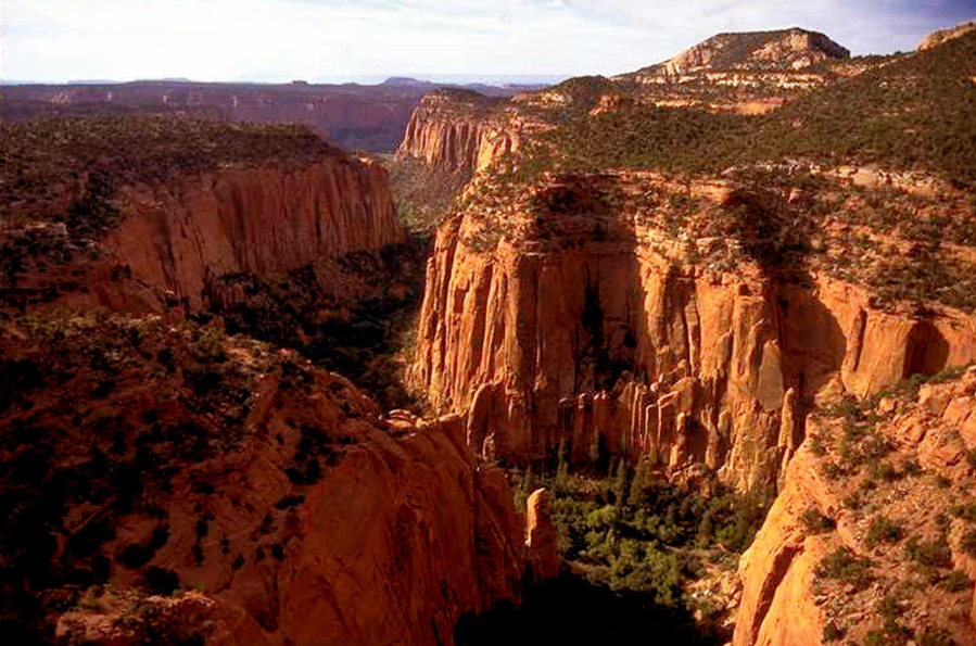 The Upper Gulch section of the Escalante Canyons within Utah’s Grand Staircase-Escalante National Monument is shown. Outdoor clothing giant Patagonia and other retailers have jumped into a legal and political battle over President Donald Trump’s plan to shrink two sprawling Utah national monuments. Douglas C.