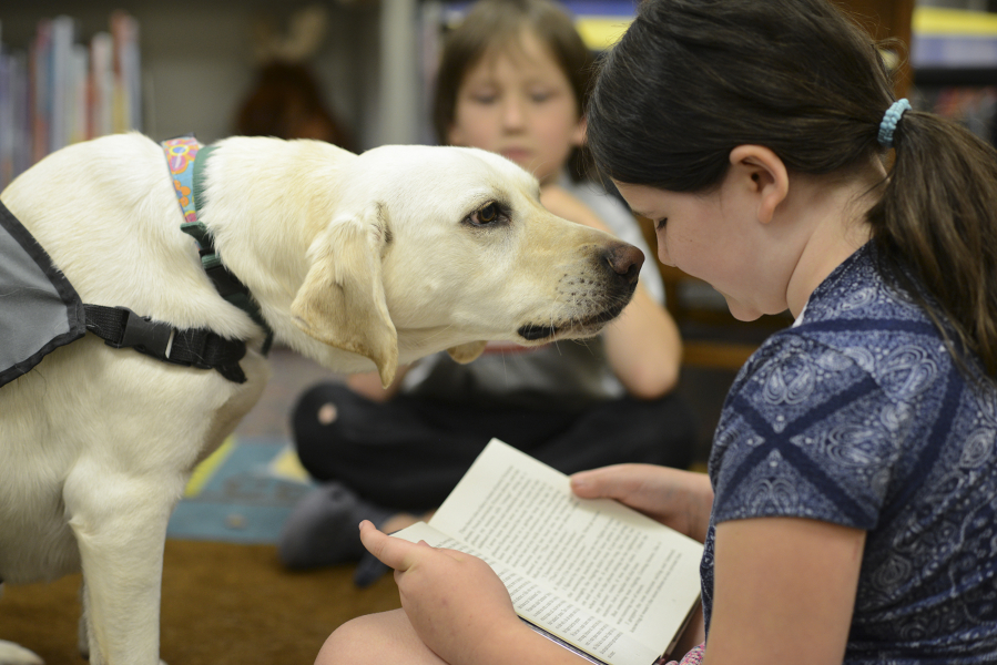 Read to a dog at Camas Public Library on Tuesdays and Thursdays.
