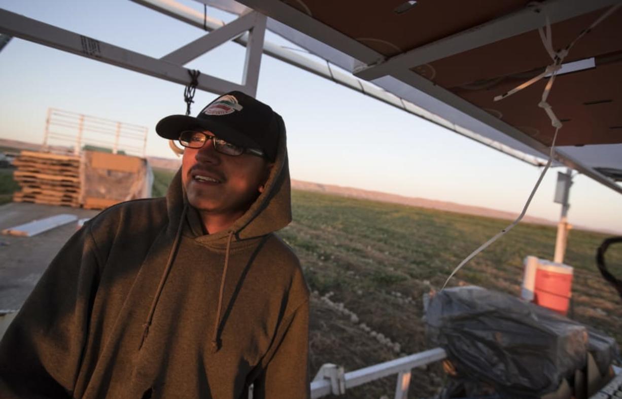 Erick Roman waits to begin his day moving and labeling boxes of cantaloupe on a picking and packing crew in the fields of Del Bosque Farms in Los Banos, Calif., on Sept. 20.