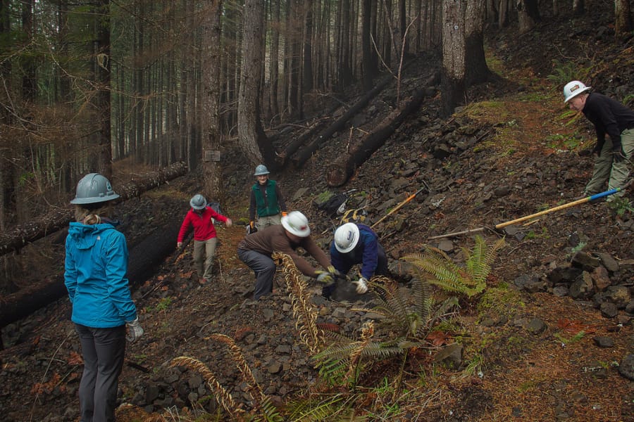 Volunteers work on repairing fire damage to a trail in the Columbia River Gorge. The Eagle Creek Fire torched over 120 miles of popular hiking trails.