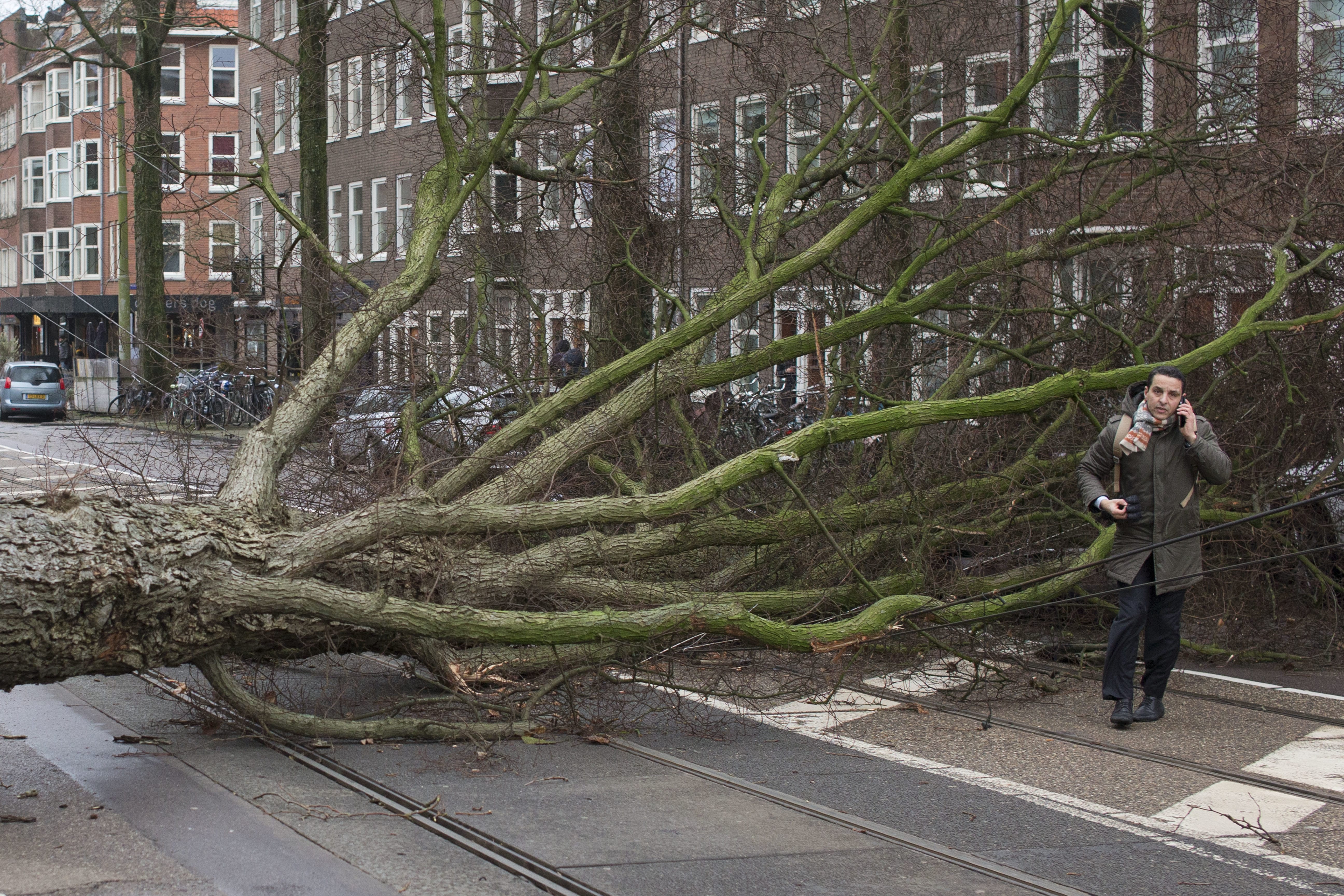 A man who escaped unharmed makes a phone call after his scooter was hit by a crashing tree uprooted by heavy winds in Amsterdam, Netherlands, Thursday, Jan. 18, 2018. Scores of flights and trains were cancelled in The Netherlands and drivers were warned to stay off the roads as the country took a powerful hit of a storm which was set to lash large parts of Europe.