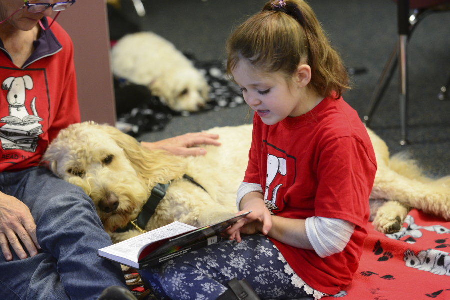 Liliahna Jevne, a second-grade student at Chimacum Creek Primary School, reads to Jake during the Read to Rover program on Friday, Jan. 5, 2018 in Chimacum, Wash. Every Friday, second-grade students get a chance to read aloud to furry companions in the school's library as part of the "Read to Rover" program.