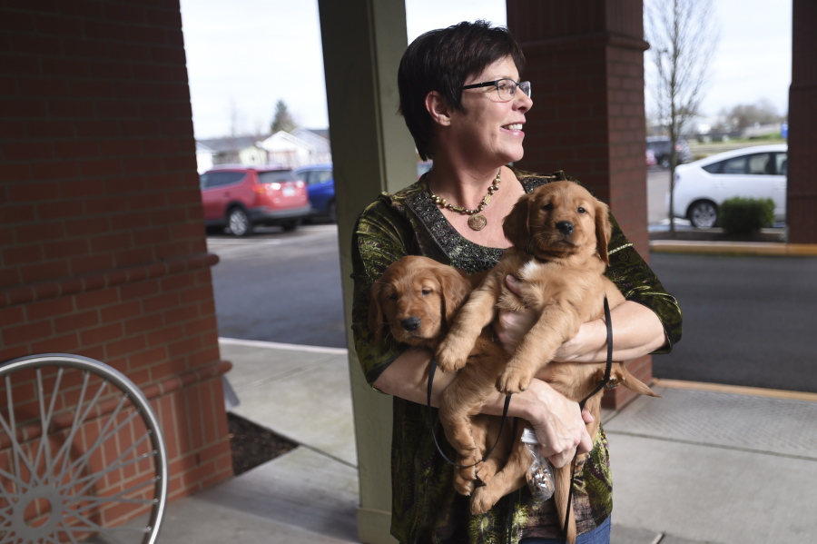 This photo taken Jan. 31, 2018, shows Tracy Calhoun holding golden retriever puppy Ember, right, and one of her brothers at Samaritan Evergreen Hospice House in Albany, Ore. Ember the golden retriever may never have as many friends, Facebook followers or book deals as JJ, her predecessor at Samaritan Evergreen Hospice House. Or then again, she might. Either way, it's OK with the staff members at Evergreen. Right now, they're happy to just have Ember being Ember.