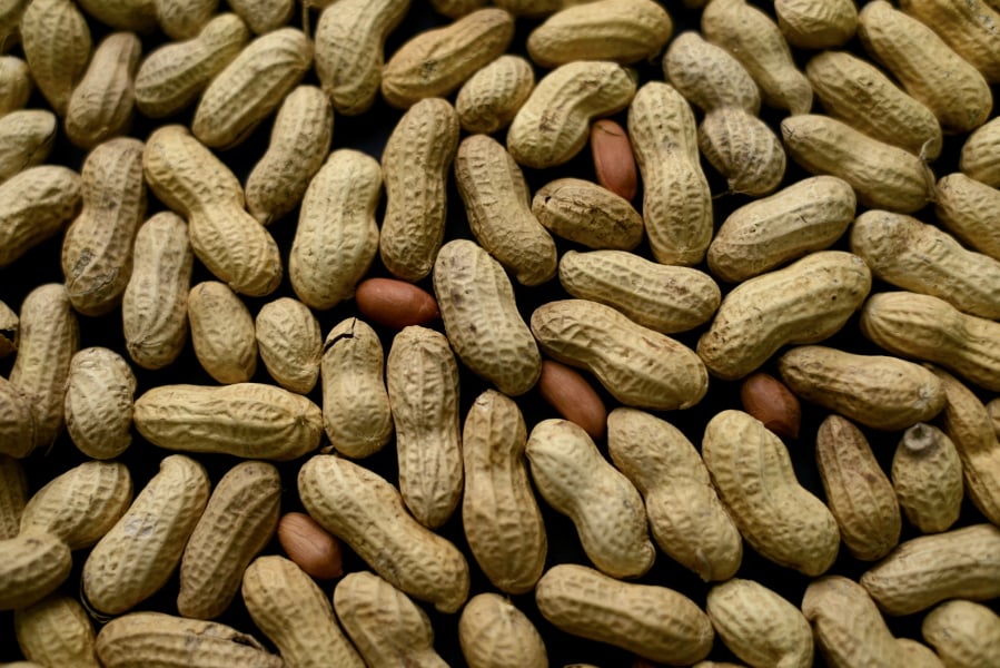 FILE - This Feb. 20, 2015 file photo shows an arrangement of peanuts in New York.