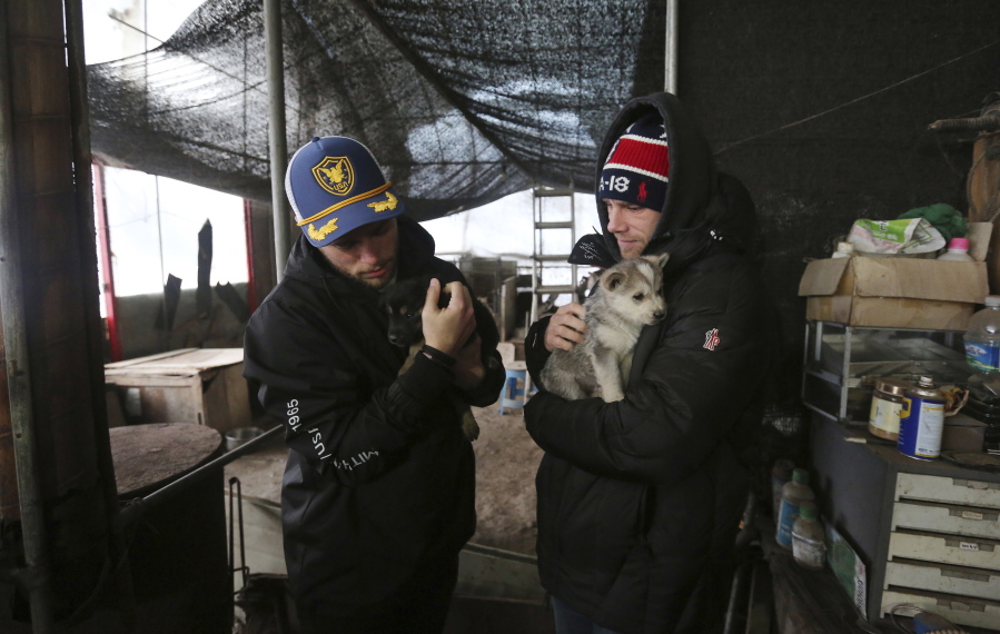 In this Friday, Feb. 23, 2018, photo, American freestyle skier Gus Kenworthy, left, and his boyfriend Matthew Wilkas hold dogs at a dog meat farm in Siheung, South Korea. Kenworthy saved five stray dogs during the Sochi Olympics four years ago and is considering adopting one of the many puppies he met Friday after finishing competition the Pyeongchang Games.