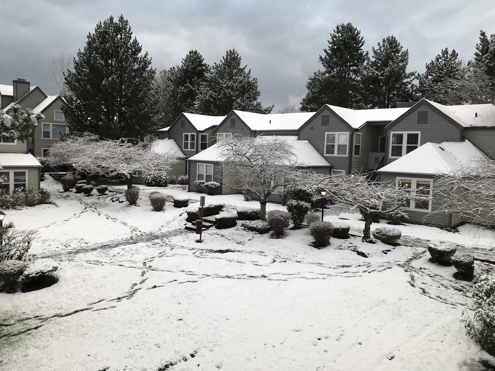 Snow blankets a neighborhood in southeast Vancouver on Monday morning.