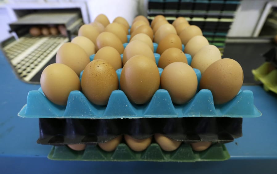 Eggs laid by cage-free chickens sit in a holder Oct. 21, 2015, after being sorted at a farm near Waukon, Iowa. Iowa lawmakers have taken steps to curb retailers’ efforts to move to cage-free eggs.