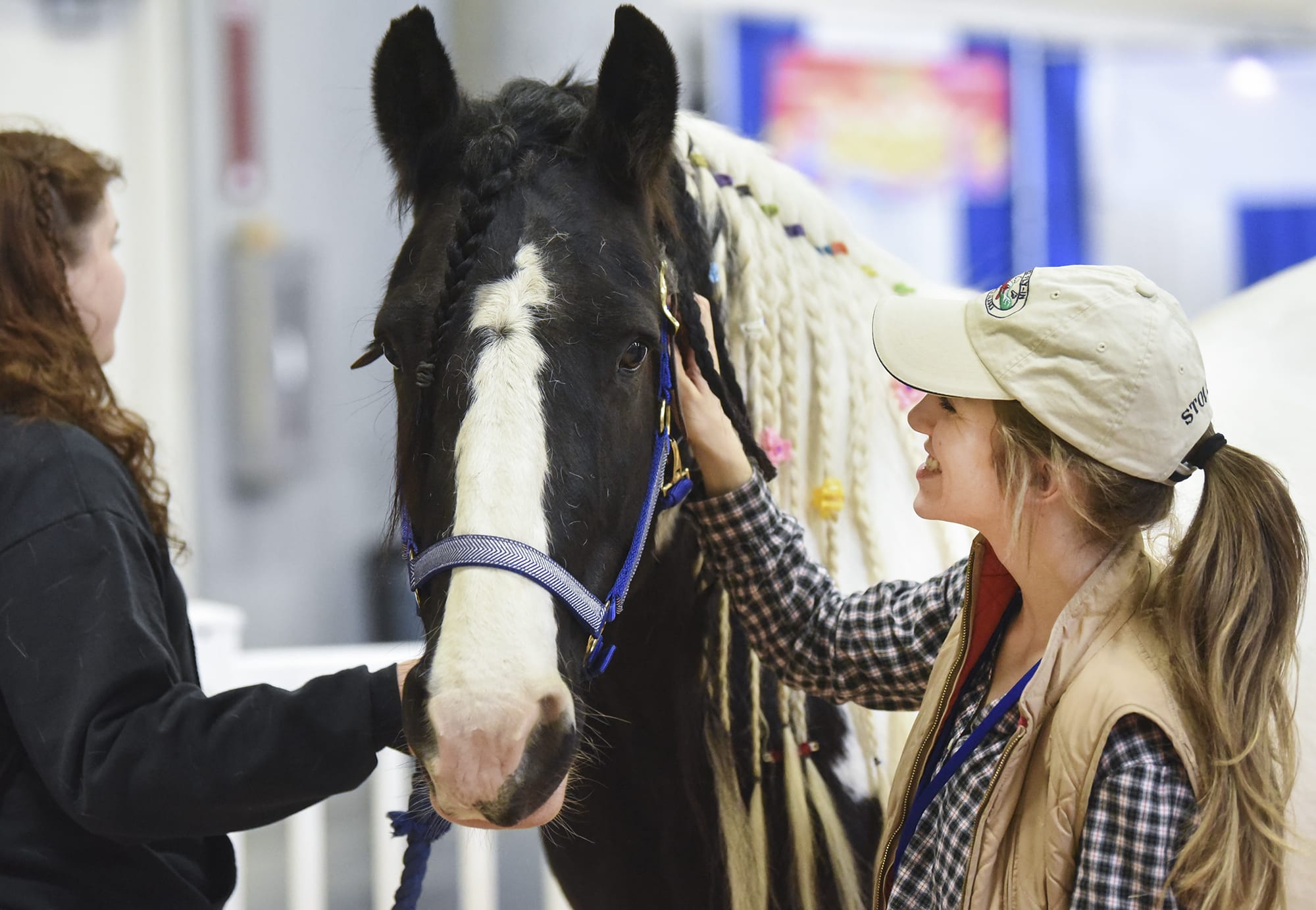 Megan Webb, 26, of Portland, pets Jille, a nine-year-old Gypsy Drum Horse at the Washington State Horse Expo at the Clark County Event Center, Friday March 2, 2018.