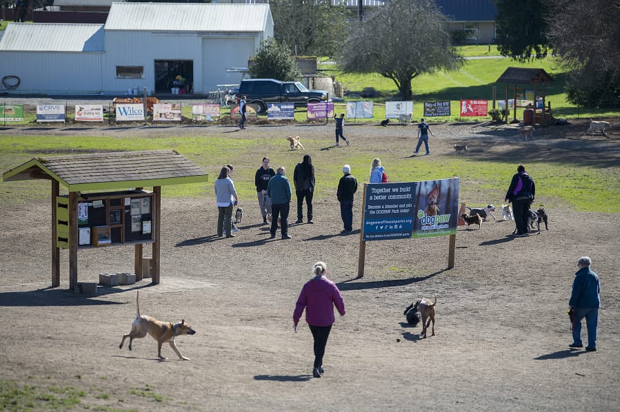 Some local veterinarians are recommending pet owners immunize their dogs against canine influenza, particularly social dogs who frequent dog parks, doggie day cares, groomers, boarding facilities or dog shows. While there have not been any confirmed cases of canine influenza in Southwest Washington, local veterinarians say they won’t be surprised to see local cases.