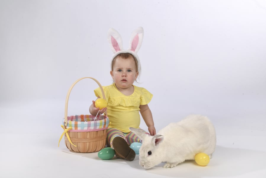 Ariane Kunze/The Columbian Morgan Armstrong, 22 months, and Cameron, a Californian-American mix rabbit, get ready for Easter in The Columbian’s photo studio last week.