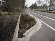 A rain garden, also known as a bioretention facility, is pictured along Northeast 98th Avenue in Vancouver’s Oakbrook Neighborhood. Rain gardens improve stormwater quality by filtering out some pollutants that would otherwise go into streams and other waterways. The Department of Ecology recently offered $220 million in funding to build clean water facilities around the state.