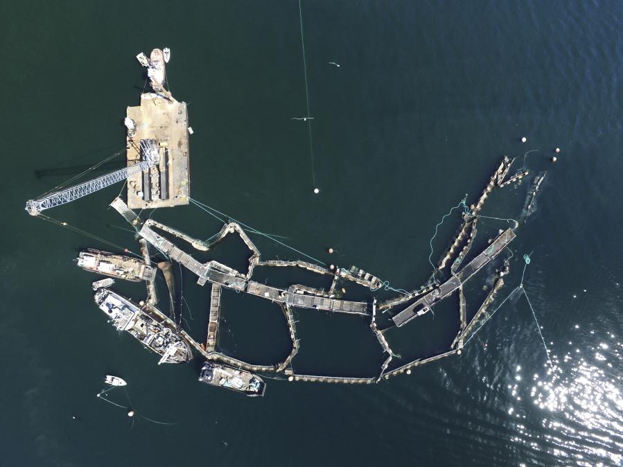 A crane and boats are anchored next to a collapsed “net pen” used by Cooke Aquaculture Pacific to farm Atlantic salmon in 2017 near Cypress Island in Washington.