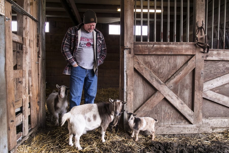 Randy De Jong left the family farm in Iowa to pursue nursing. De Jong missed being around livestock, so he talked his city gal wife, Kathi, into moving to the 3.5-acre farm on Fobes Hill in Snohomish five years ago.