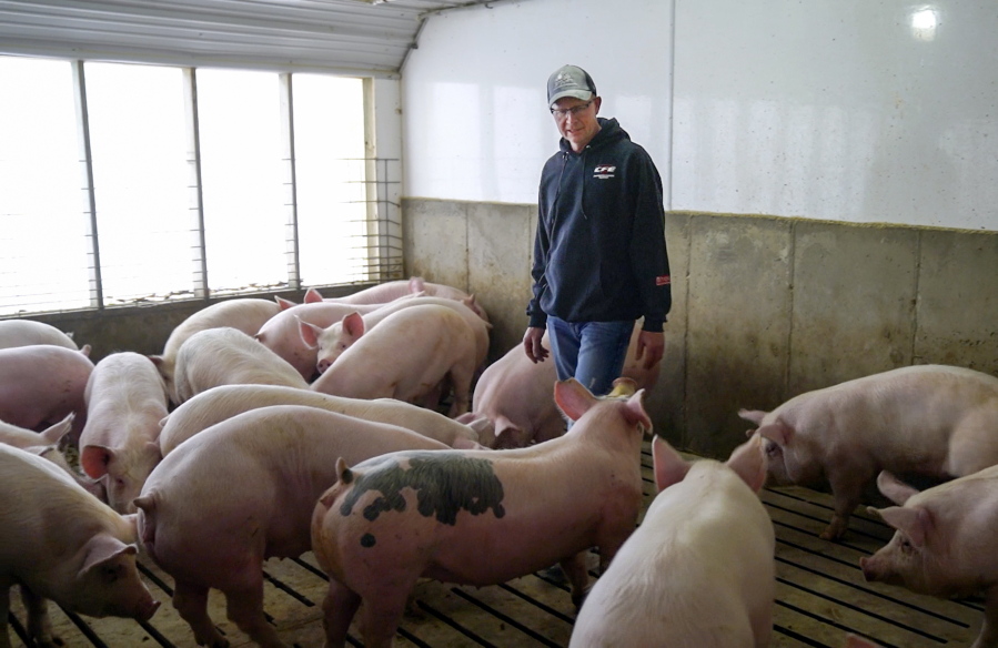 Farmer Jeff Rehder looks over some of his pigs Monday in Hawarden, Iowa. Rehder stands to lose potential revenue on his hogs after China responded to President Trump’s announced plans to impose tariffs on Chinese products with a threat to tag U.S. products, including pork, with an equal 25 percent charge.