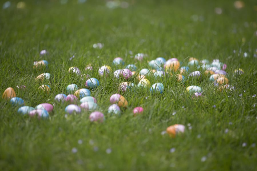 The annual Easter egg hunt in Camas’ Crown Park in 2017 featured more than 14,000 eggs for young hunters to find.