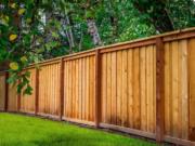 It’s hard to beat the classic look of cedar fencing, especially in the Pacific Northwest. There are steps you can take to make your fence last longer.