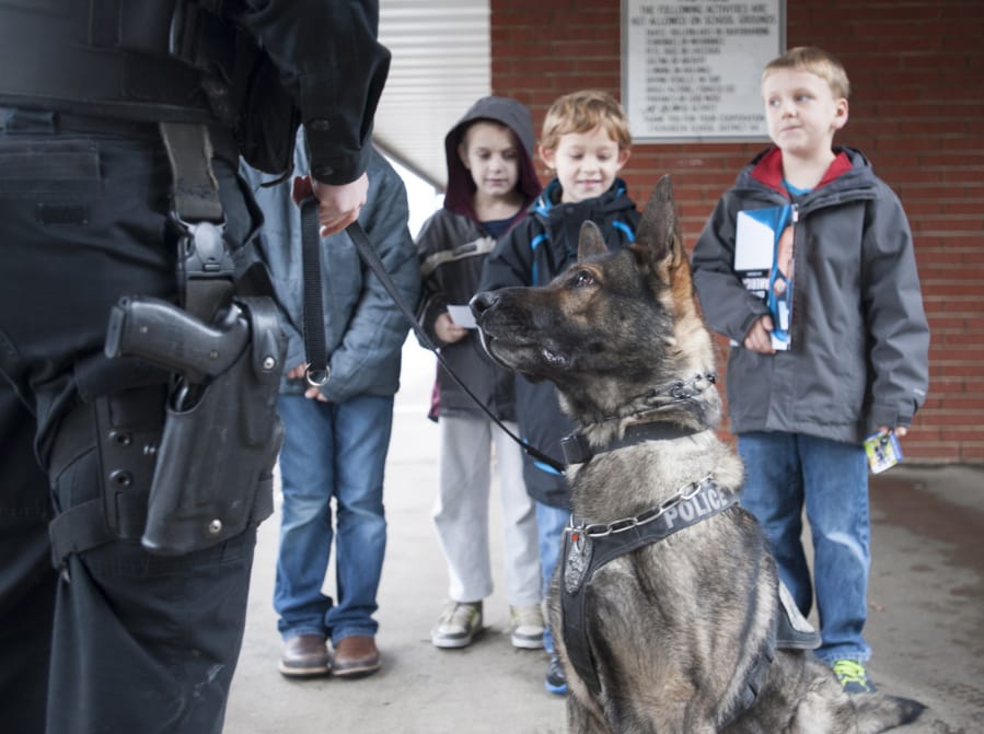 Enzo, a German shepherd Vancouver Police Department K-9, meets with a class of second-grade students at Mill Plain Elementary School in 2015. Enzo retired last week after 5½ years of service.