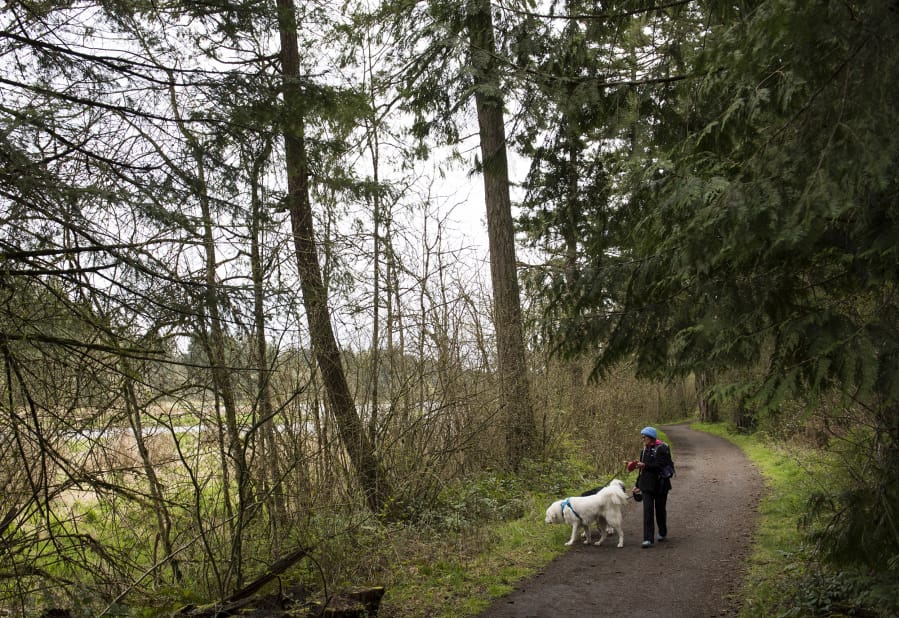 Sheryl Beauchaine of Vancouver walks her daughter’s dogs recently on Heritage Trail along Lacamas Lake. The biofilter in the lake has not been maintained for about 30 years, causing it to become overgrown with trees.