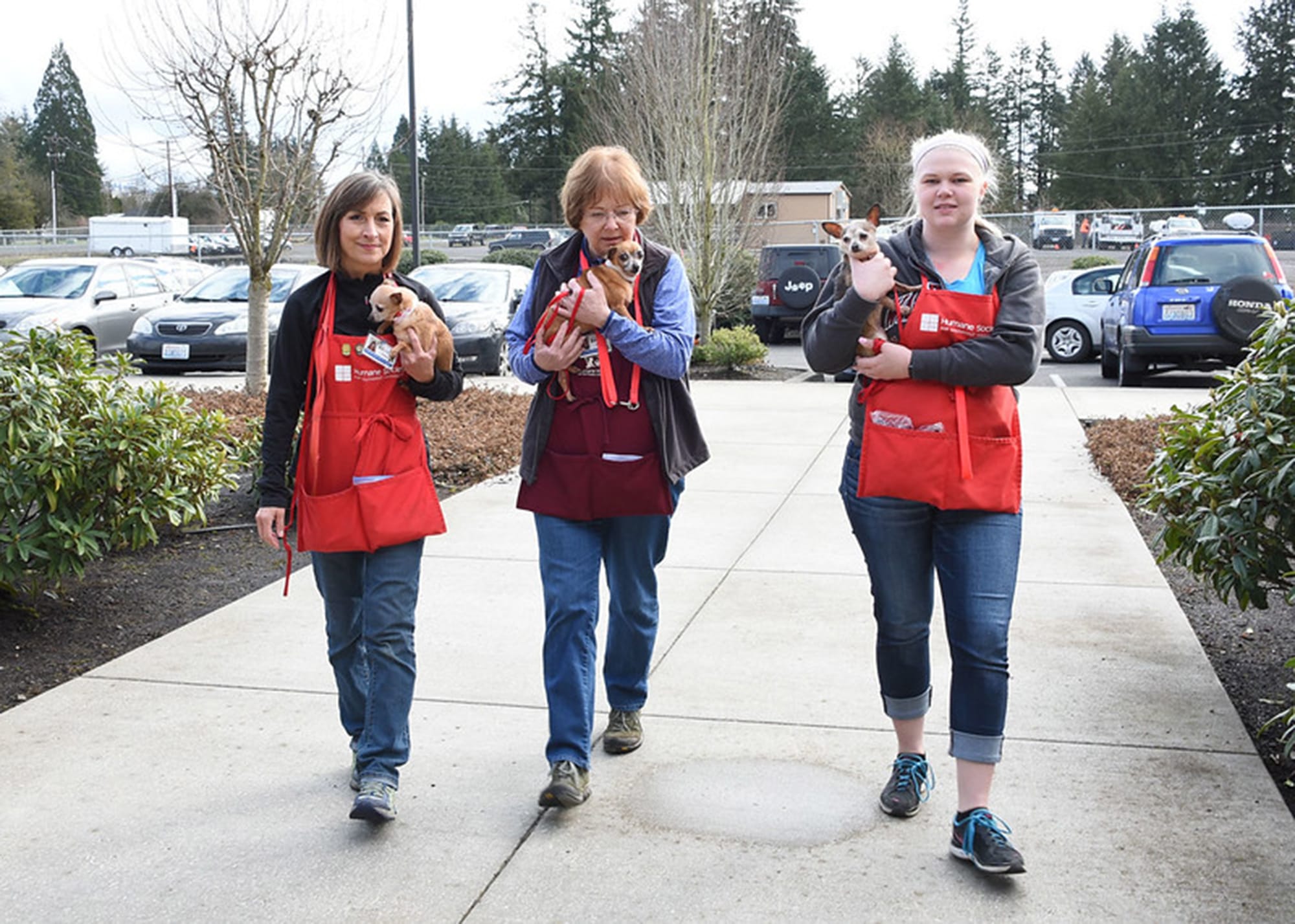East Vancouver: The Golden Girls, from left, Penny Ruthruff, Kathie Malone and Amanda Sobotta, are three volunteers at the Humane Society of Southwest Washington. The society honored its volunteers at an event in February.