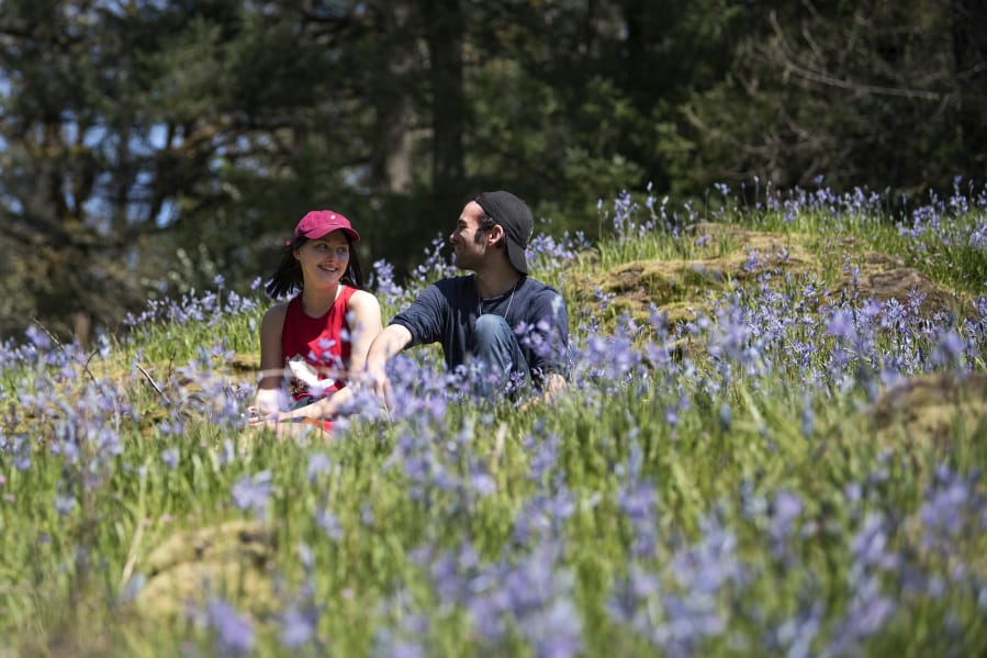 Emma Riggins of Camas, 17, left, and Kevin Coleman of Battle Ground, 18, right, enjoy the field of Camas lilies at Lacamas Lake Regional Park on Monday afternoon. The Camas lilies are now in full bloom just off the Round Lake trail loop. “I love it,” Riggins said.