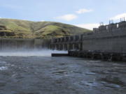 Water moves through a spillway of the Lower Granite Dam on the Snake River near Almota.  (AP Photo/Nicholas K.