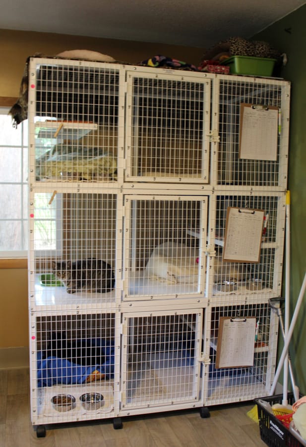 Walnut Grove: The “kitty condo” Furry Friends bought using grant money from the Firstenburg Foundation.