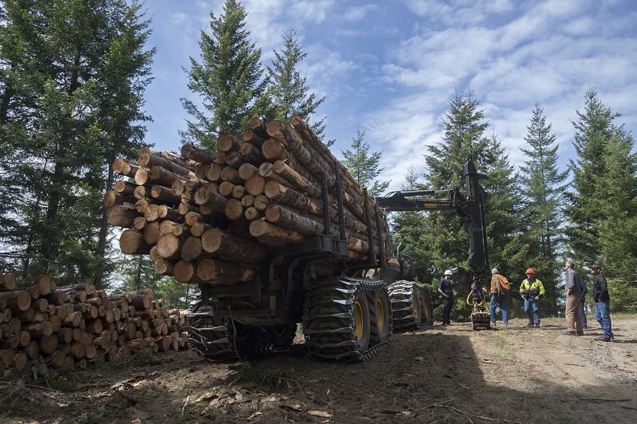 Members of Columbia Land Trust check out logging operations on forest land they own in late May. The land trust bought the land outright in 2013 from timber company Pope Resources as part of a larger agreement to keep housing out of most of the company’s 24,000 acres.