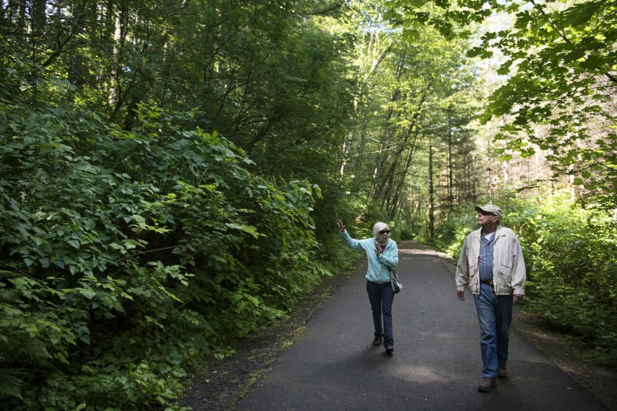 Vancouver residents Alice Perry Linker, left, and Fred Suter discuss what the forest between Moulton Falls and Lucia Falls parks might look like after timber is harvested in the area. The Washington Department of Recreation is planning the Michigan Trotter Timber Sale for January, which includes trees along 2,500 feet of the trail.