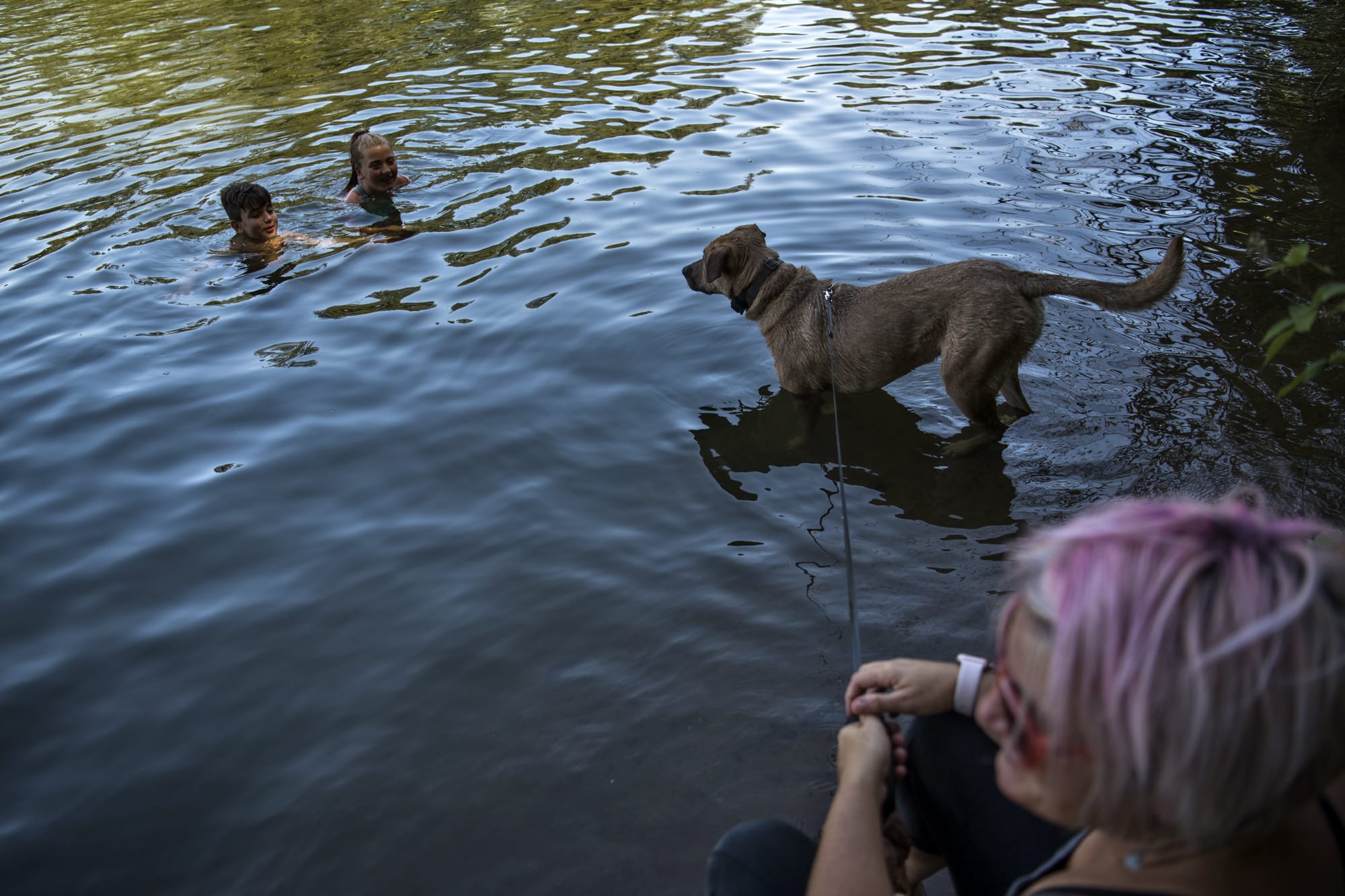 Cameron Gamby, 11, left, and his sister Makena, 12, encourage their dog Ranger to jump in the water as they play by the shore at Lacamas Lake with their mother Kristin, all of Vancouver, earlier this month in Camas. The next several days will again see area residents looking to beat the heat as high temperatures continue to reach the 90s.