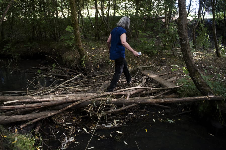 Vicki Hopper walks over a makeshift bridge that was built over Woodin Creek in Hidden Glen Park near her home in Battle Ground. The city has an upcoming habitat restoration project at the park and removed a pedestrian bridge, although the bridge removal was done a bit early due to vandalism.